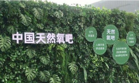 中國(guó)天然氧吧地區(qū)總面積已超90萬平方公里