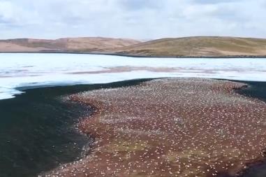 我國全面完成生態(tài)保護紅線劃定