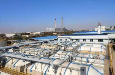 實(shí)施綠色低碳發(fā)展行動(dòng) 天津泰達(dá)股份交出亮眼成績單