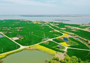 中國石油學(xué)會(huì)成立碳中和專業(yè)委員會(huì)