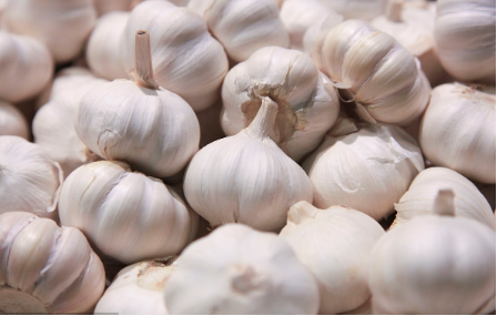 美國(guó)對(duì)進(jìn)口自中國(guó)新鮮大蒜作出反傾銷(xiāo)終裁