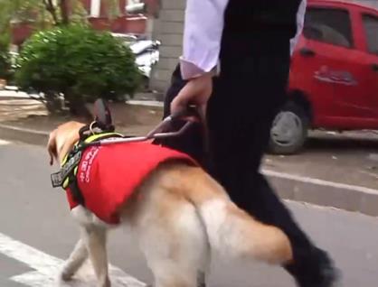 各方努力消除數(shù)字鴻溝 助力殘疾人實現(xiàn)信息無障礙