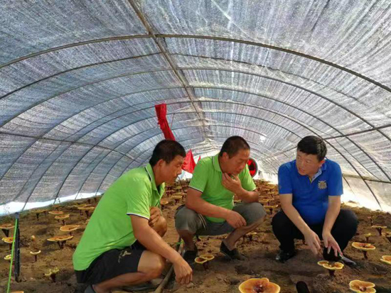 “他，獲得榮譽(yù)稱號一點也不虧！”——記黑龍江坤健農(nóng)業(yè)股份有限公司董事長祝嗣臣