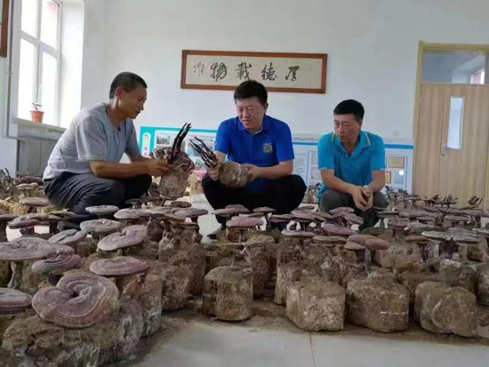 20230605123722121.jpg 祝嗣臣(中)喜看豐收果.jpg