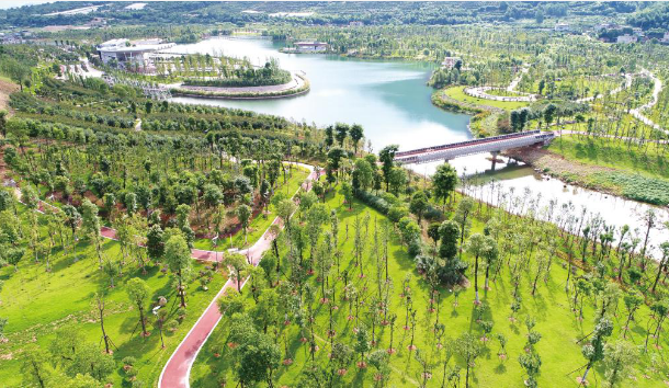 中國(guó)節(jié)能探索打造“生態(tài)環(huán)境治理+” 模式 繪就和諧共生美麗畫卷