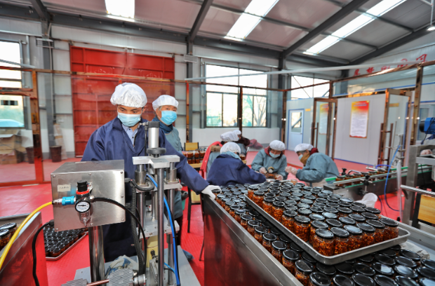 中國(guó)煤炭科工定點(diǎn)幫扶出實(shí)招 助力鄉(xiāng)村振興見實(shí)效