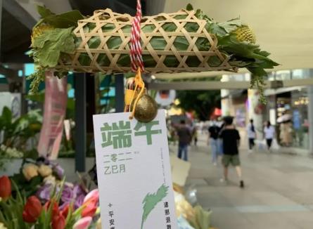 端午將至 艾草、香樟等契合節(jié)日氛圍的花卉走俏市場