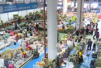 線上消費呈現(xiàn)新亮點 “小而美”領(lǐng)域細(xì)分需求凸顯