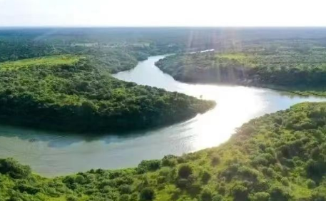 如何讓黃河流域非遺文化綻放迷人光彩？