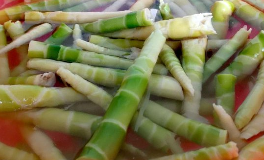 云南省保山市昌寧縣獲“中國甜筍之鄉(xiāng)”稱號(hào)