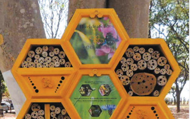 中國企業(yè)在海外建設(shè)中注重保護(hù)生物多樣性——秉持綠色理念 維護(hù)地球家園