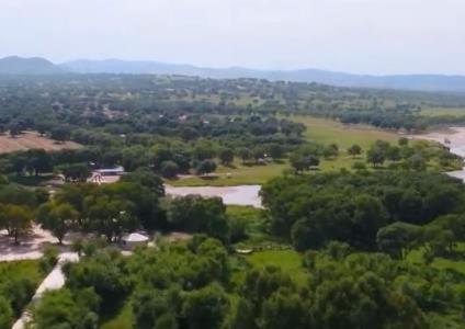 我國(guó)荒漠生態(tài)系統(tǒng)功能增強(qiáng) 53%可治理沙化土地得到治理