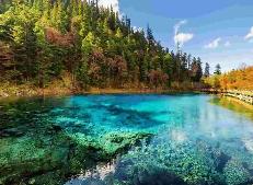 中國(guó)旅行服務(wù)進(jìn)出口快速增長(zhǎng) 助力世界經(jīng)濟(jì)復(fù)蘇