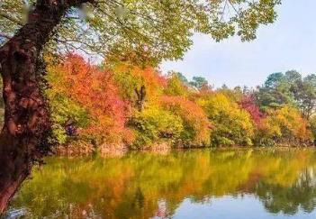 多地“上線(xiàn)”秋游產(chǎn)品 主題豐富線(xiàn)路多