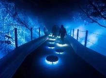 看景變“入景”，“出圈”又出彩 沉浸式旅游是怎樣的體驗(yàn)？