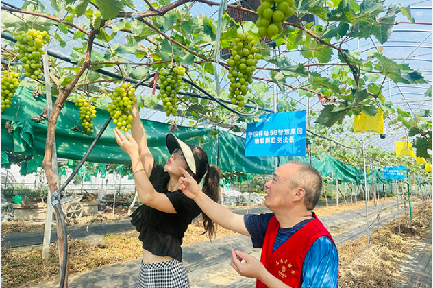 中國移動(dòng)打造“數(shù)字豐收”密碼 為農(nóng)民“增收智富”