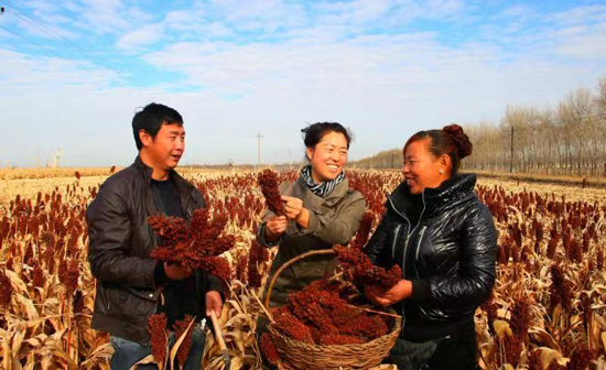 黑龍江富裕老窖“老字號”迸發(fā)新活力