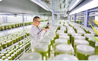 破難題、補短板、強優(yōu)勢 種業(yè)振興取得階段性成效