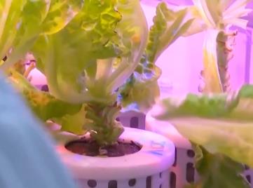 載人登月、載人登火星、環(huán)控生?！罩参镌耘噙€有大作為