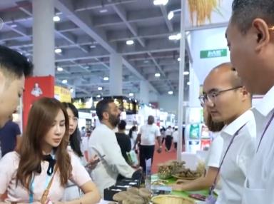 “老廣交”“新廣交”齊聚尋覓商機(jī) 繁忙景象彰顯中國外貿(mào)韌性與活力