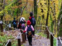 加強(qiáng)優(yōu)質(zhì)旅游供給 推動秋季旅游持續(xù)升溫