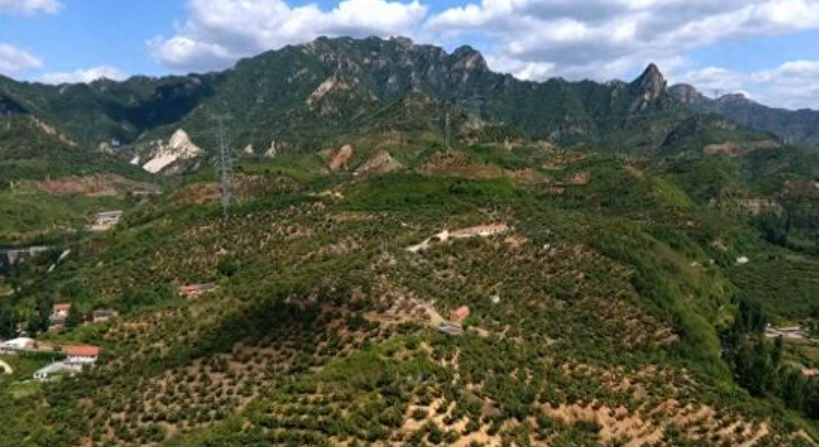 我國新增三項(xiàng)全球重要農(nóng)業(yè)文化遺產(chǎn)