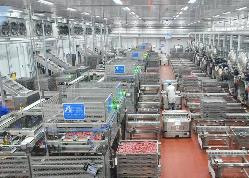 全國首次發(fā)布“2023預(yù)制菜產(chǎn)業(yè)基地百強(qiáng)”