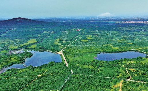“三北”工程三大標志性戰(zhàn)役開局順利