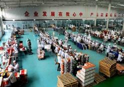 露酒成為繼白酒、啤酒之后中國第三大酒種