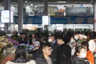 年貨市場(chǎng)消費(fèi)旺、“菜籃子”供得上 確保群眾歡樂祥和過節(jié)