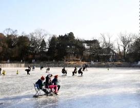 多所高校官宣開放校園 大學冰場假期迎來市民打卡