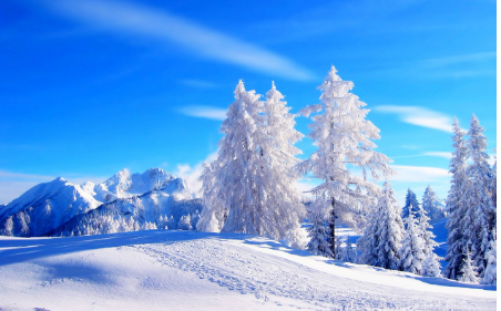 “南北互跨游”點燃冬季旅游消費熱情