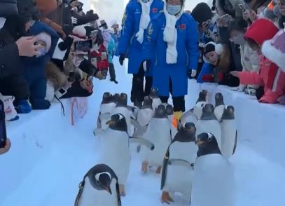 打造消費熱點 盤活冰雪“冷資源” 各行業(yè)釋放經(jīng)濟活力