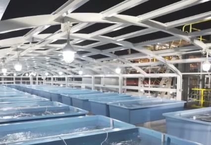 陸地建起“海洋牧場” 我國綠色低碳循環(huán)經(jīng)濟(jì)再迎新突破