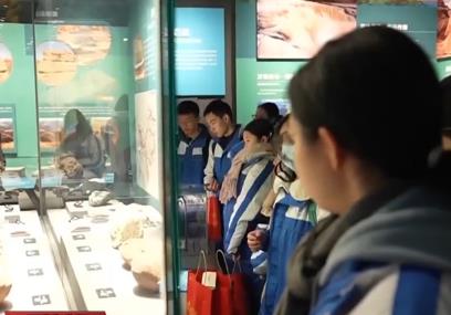 研學、科普、休閑、出游……春節(jié)近年味濃 寒假出游樂趣多