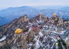 河南文旅火爆出圈，北京、上海赴豫旅游訂單排名靠前