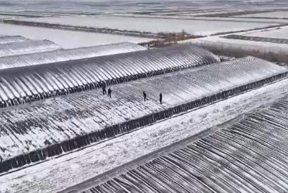 向雪而行！科技小分隊(duì)守護(hù)“大國糧倉” 護(hù)航農(nóng)業(yè)生產(chǎn)