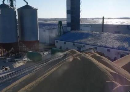 科技加持糧食“購(gòu)銷(xiāo)和儲(chǔ)備”各環(huán)節(jié) 人機(jī)協(xié)同“大數(shù)據(jù)”管糧