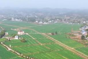 春耕春播正當(dāng)時(shí) 讓沃野“長(zhǎng)”出高質(zhì)量