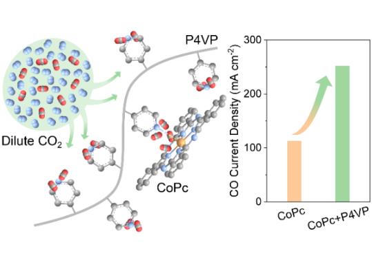低濃度CO?直接電解轉化有新策略