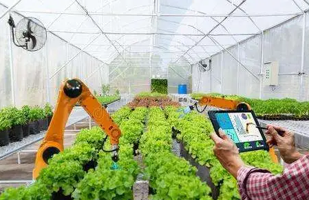 數(shù)據(jù)要素推動現(xiàn)代農(nóng)業(yè)乘“數(shù)”而上