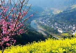 春季旅游市場亮點：超千款賞花錯峰游產品上線