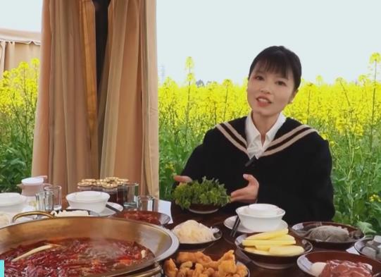 嘗鮮、賞景、踏青……消費(fèi)“新場景”助力“春日經(jīng)濟(jì)”別樣紅