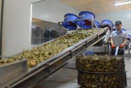 改變傳統(tǒng)糕點固有印象，節(jié)令糕點市場潛力巨大 