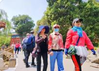 機票價格跌超40% 春暖花開正是錯峰出游季