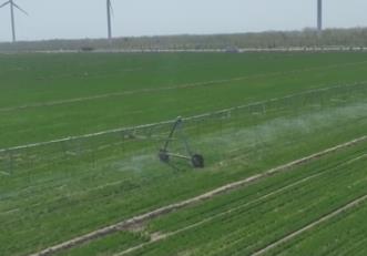 苗情長勢好、全程機械化種植 今年春播糧食面積將穩(wěn)中有增