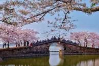 清明假期將至，“花”“茶”“食”唱響文旅消費前奏