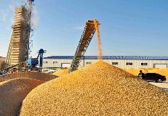 河南省加快提升應(yīng)急救災(zāi)和糧食烘干能力  為農(nóng)業(yè)強省建設(shè)提供支撐