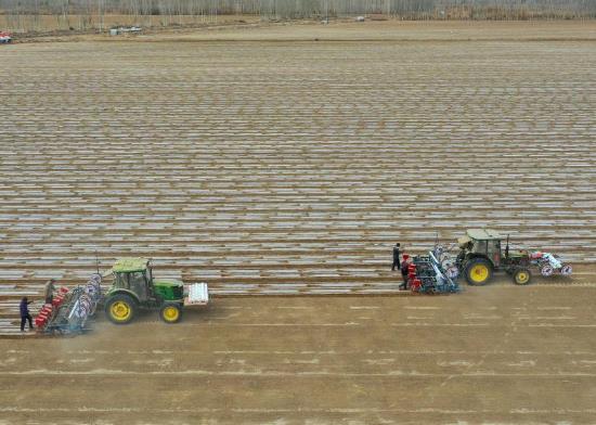 我國棉花主產區(qū)春播大幕開啟
