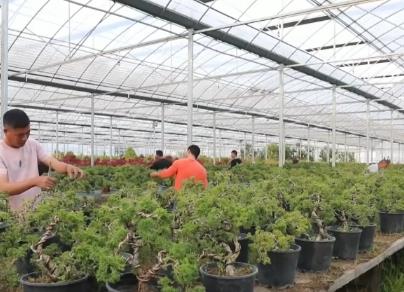 花木產(chǎn)業(yè)新“花”樣 “美麗經(jīng)濟(jì)”活力澎湃